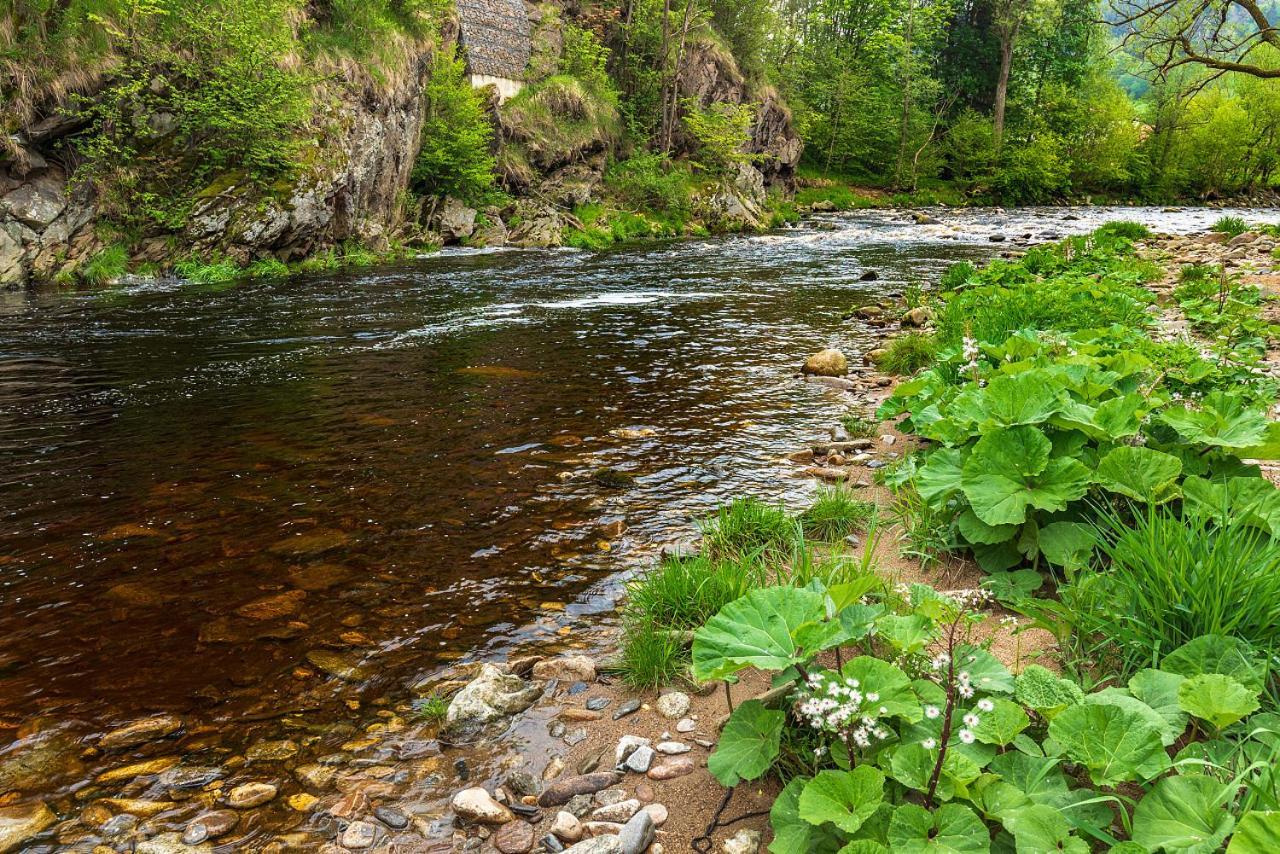 Penzion Rejstejn Buitenkant foto